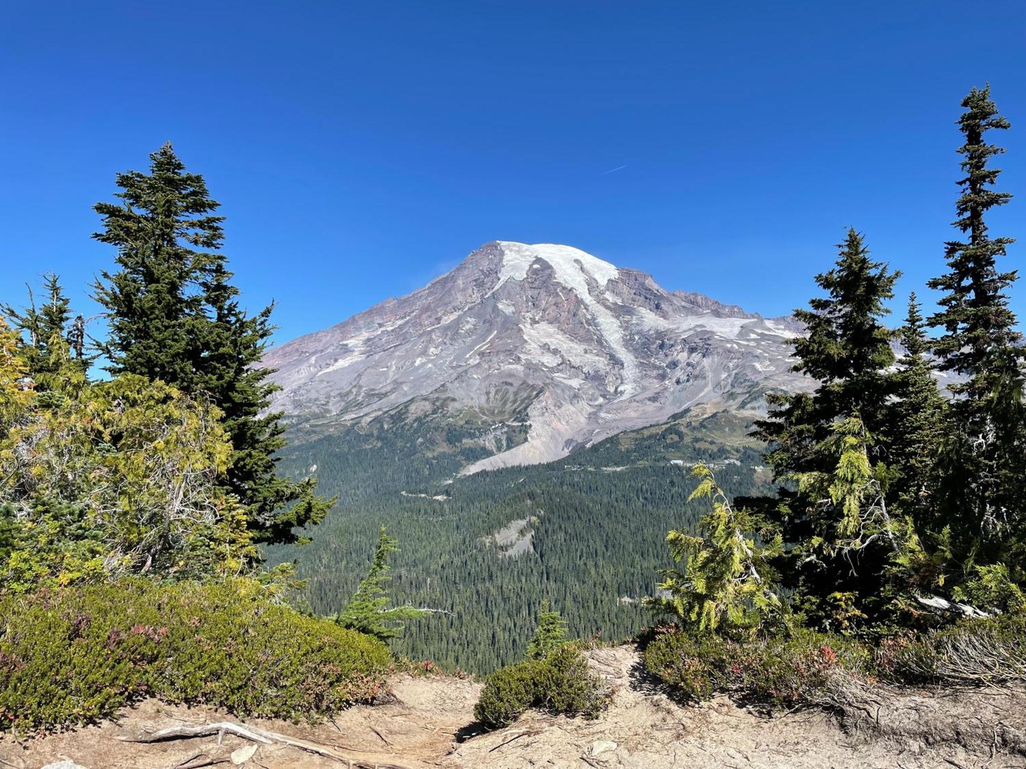 New Modern Cabin! 5Mi To Mt Rainier National Park! Hot Tub & Wifi Ashford Kültér fotó