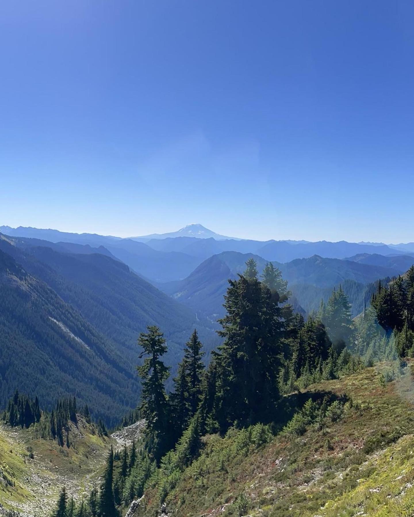New Modern Cabin! 5Mi To Mt Rainier National Park! Hot Tub & Wifi Ashford Kültér fotó